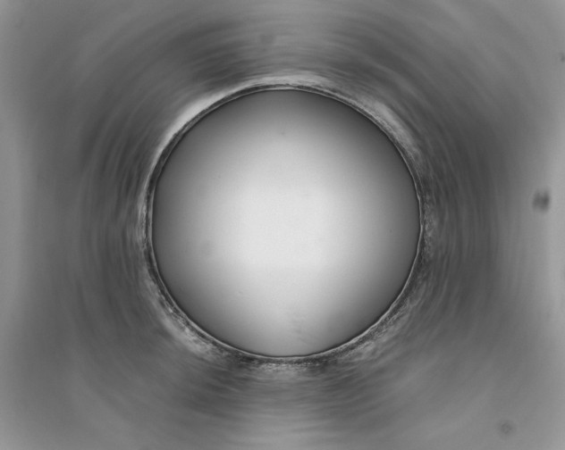 X0000094431044200711291528