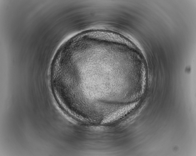 X0000094431045200711291528