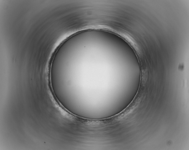 X0000094431046200711291528