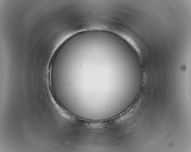 X0000094431047200711291528