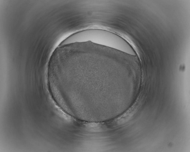 X0000094431048200711291528