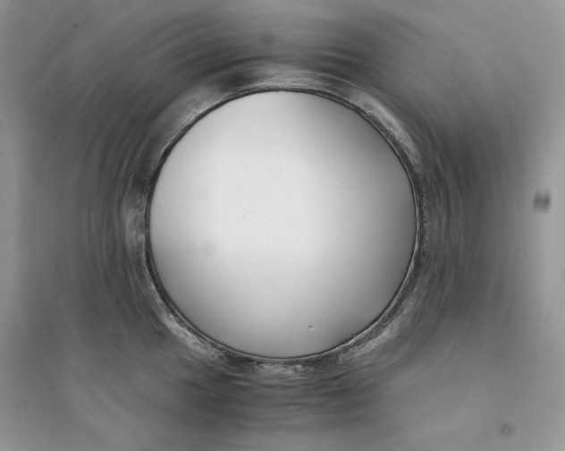 X0000094431049200711291528