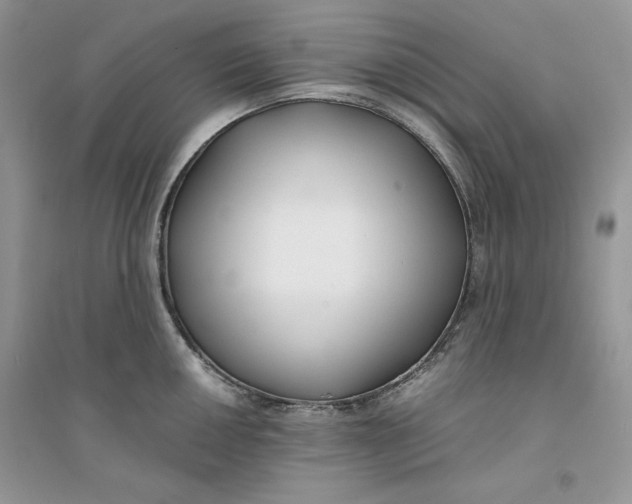 X0000094431050200711291528