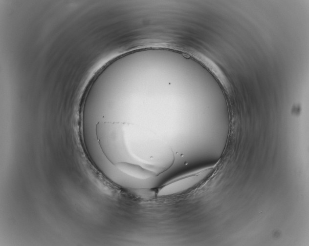 X0000094431051200711291528