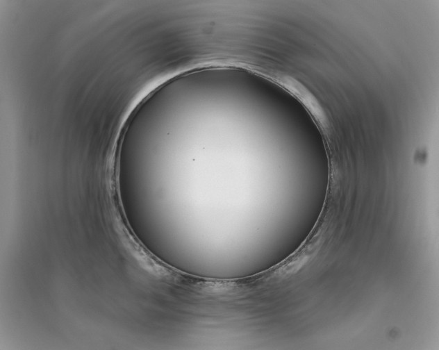 X0000094431052200711291528