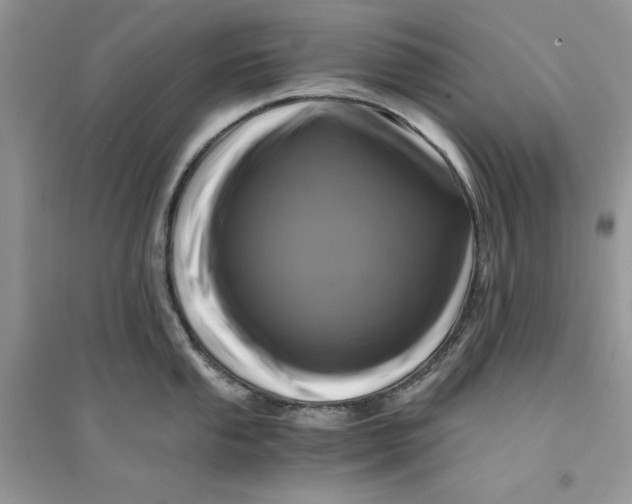 X0000094431053200711291528