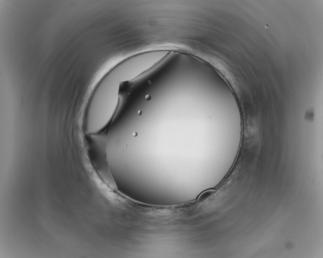 X0000094431054200711291528