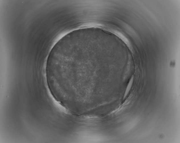 X0000094431055200711291528