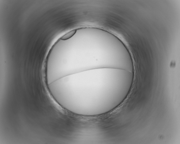 X0000094431056200711291528