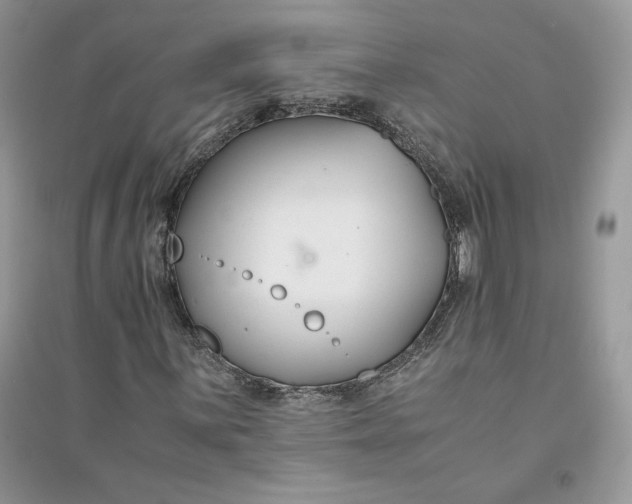 X0000094431059200711291528