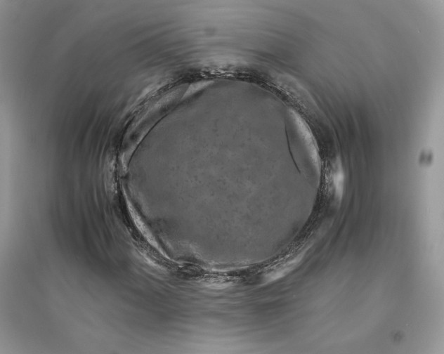 X0000094431060200711291528