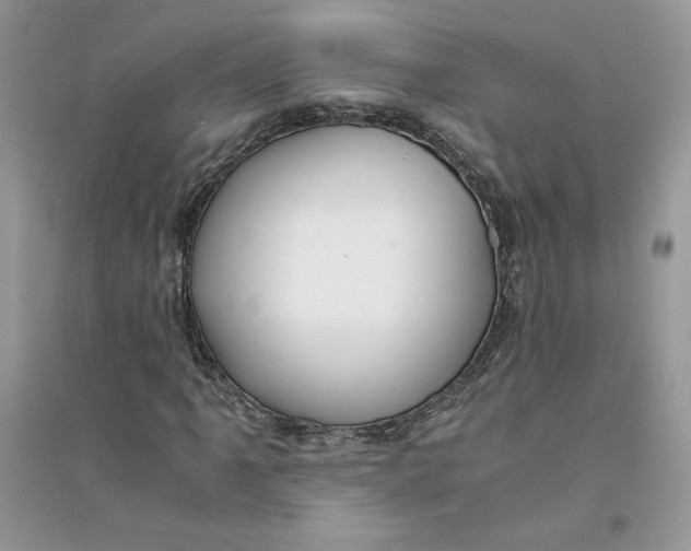 X0000094431061200711291528