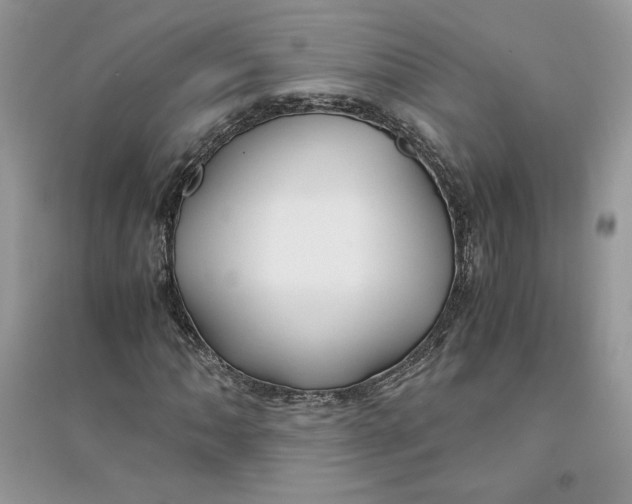 X0000094431062200711291528