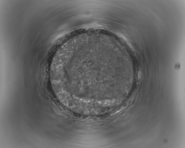 X0000094431063200711291528