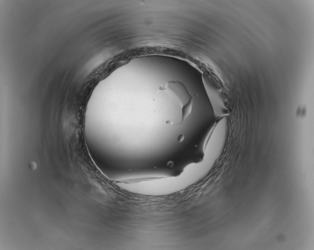 X0000094431064200711291528