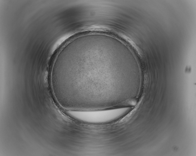 X0000094431066200711291528