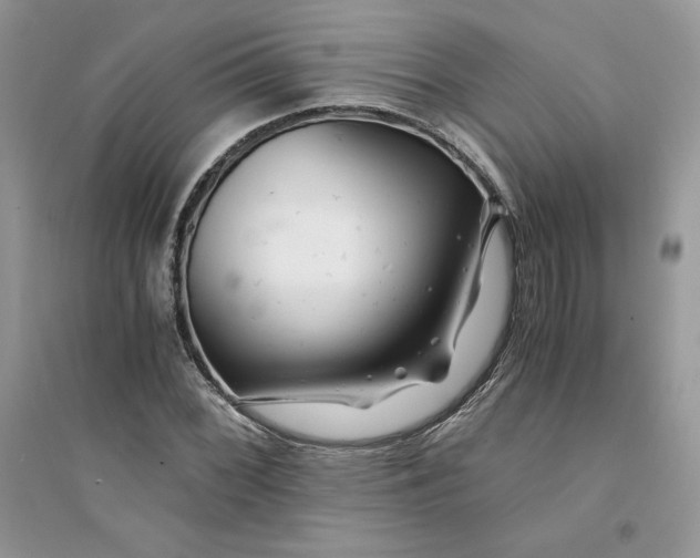 X0000094431068200711291528