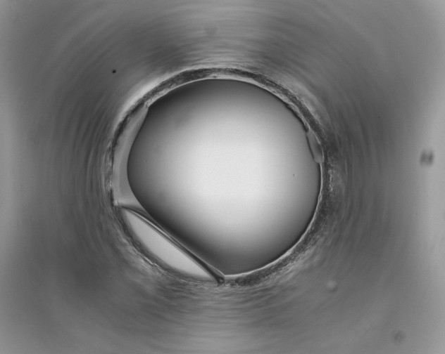 X0000094431069200711291528