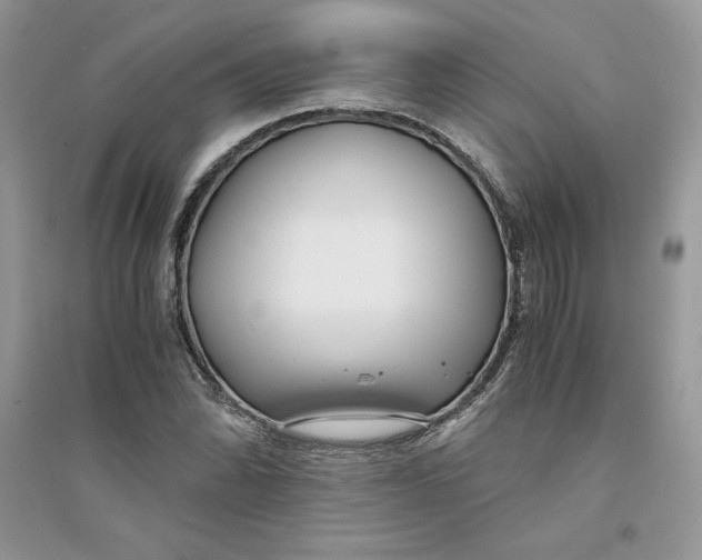 X0000094431070200711291527