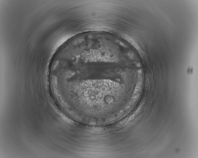 X0000094431071200711291527