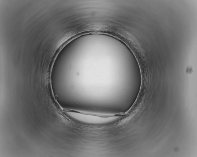 X0000094431073200711291527