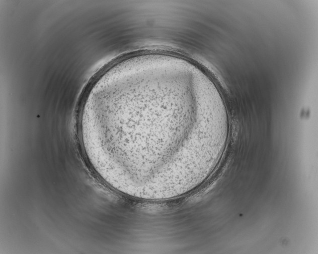 X0000094431074200711291527