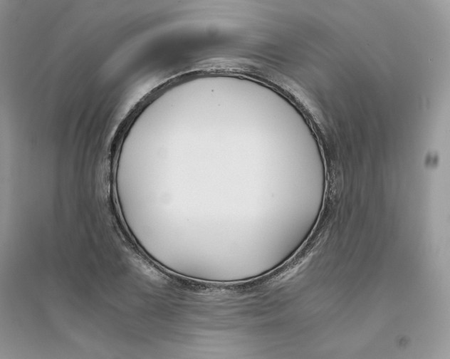 X0000094431075200711291527