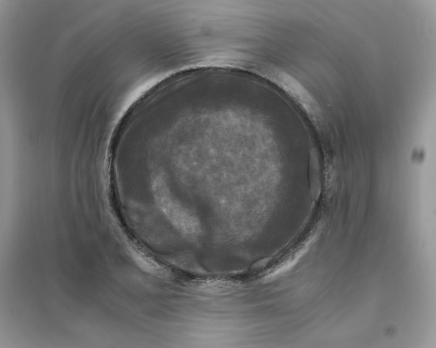 X0000094431077200711291527