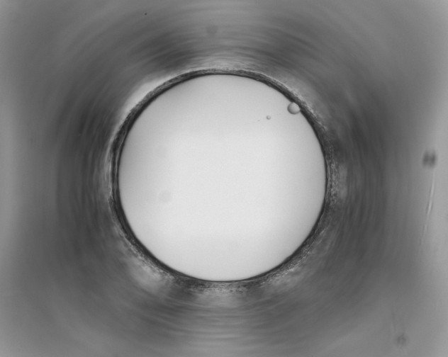 X0000094431078200711291527