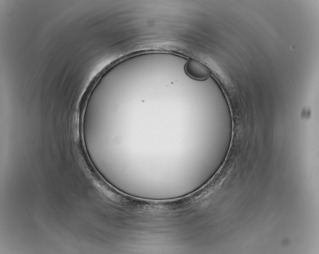 X0000094431079200711291527