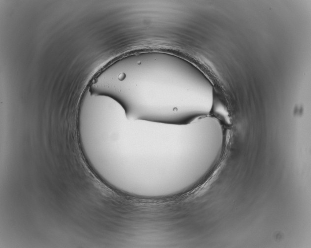 X0000094431081200711291527