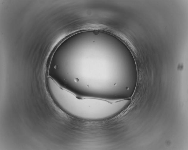 X0000094431083200711291527