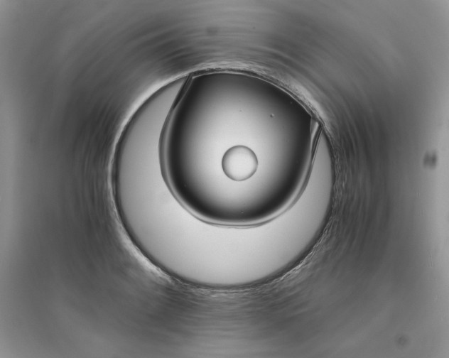 X0000094431084200711291527