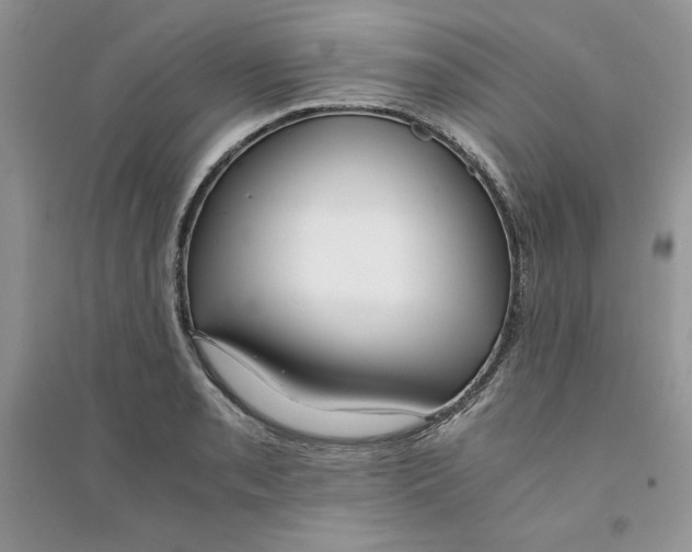 X0000094431085200711291527