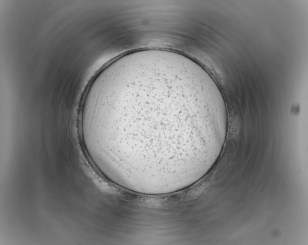 X0000094431086200711291527