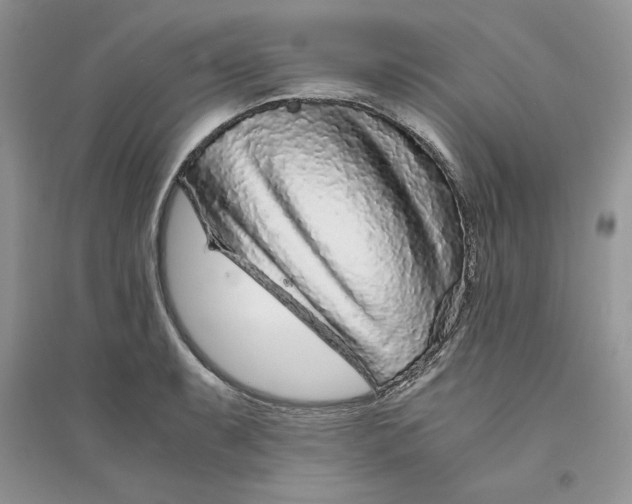 X0000094431087200711291527