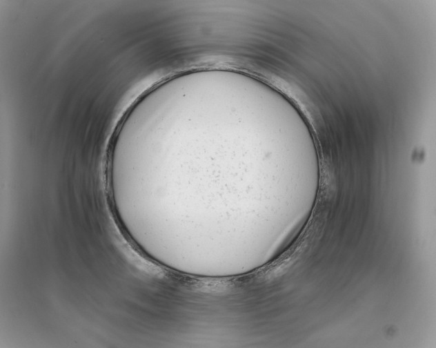 X0000094431090200711291527