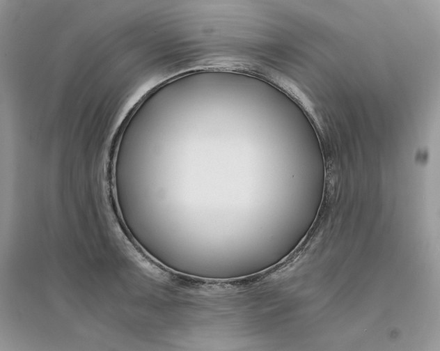 X0000094431091200711291527