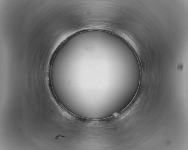 X0000094431093200711291527