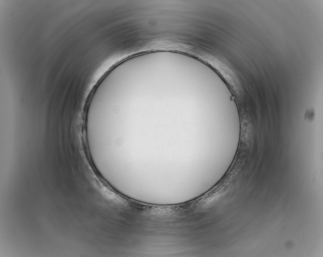 X0000094431094200711291527