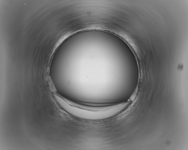 X0000094431097200711291527