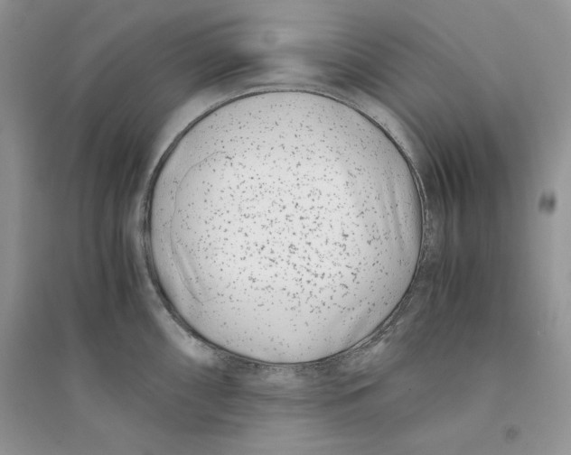 X0000094431098200711291527