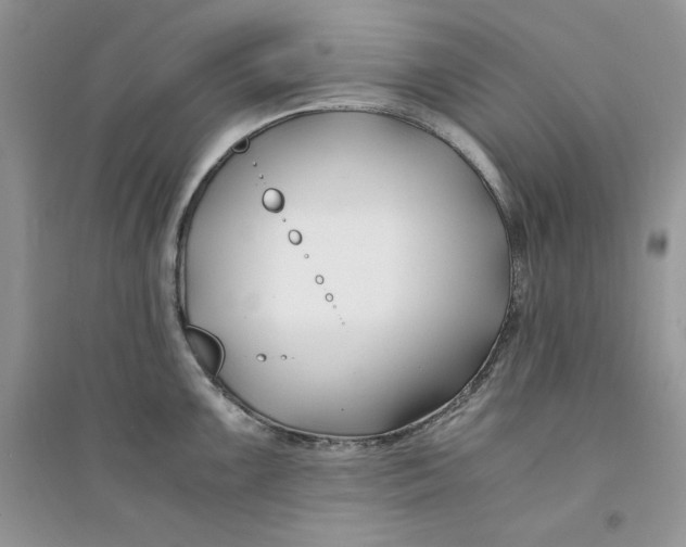 X0000094431099200711291527