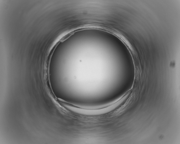 X0000094431101200711291527