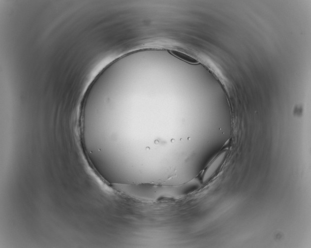 X0000094431103200711291527