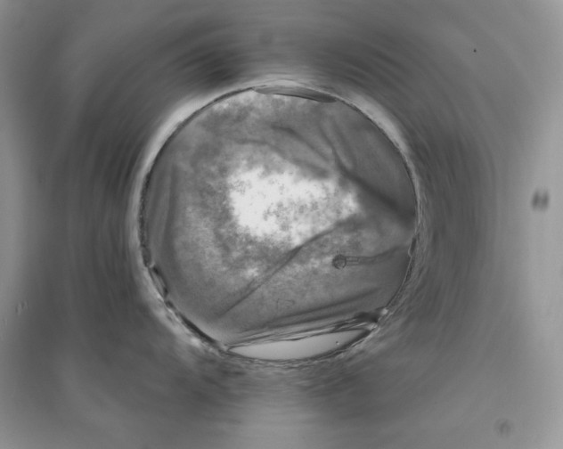 X0000094431104200711291527