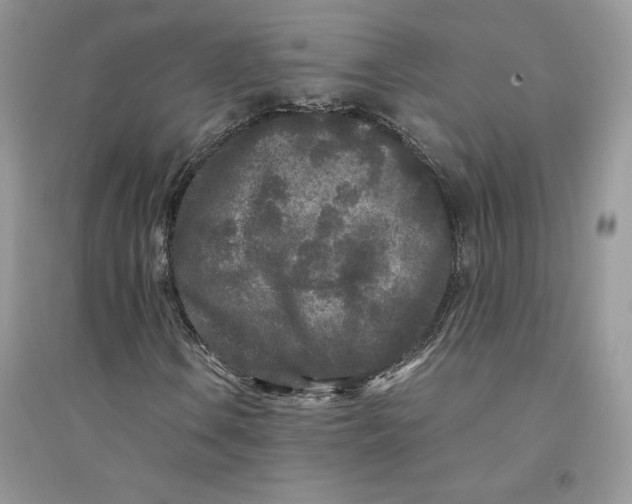 X0000094431106200711291526