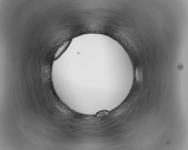 X0000094431107200711291526