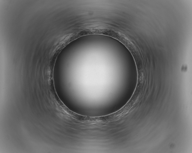 X0000094431108200711291526