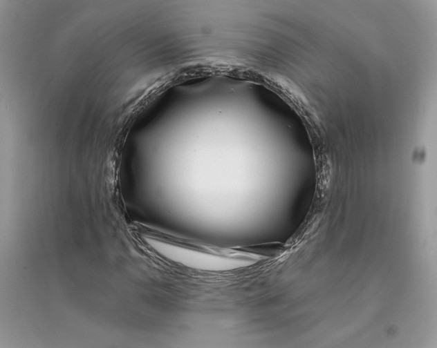 X0000094431110200711291526